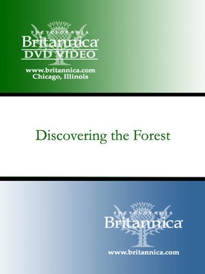cover image of Discovering the Forest